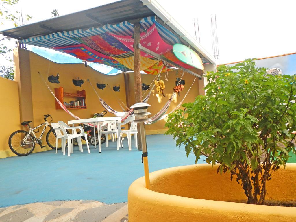 לינה וארוחת בוקר פוארטו בקריסו מורנו Galapagos Eco Friendly מראה חיצוני תמונה